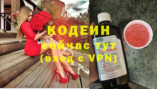 твердый Снежногорск