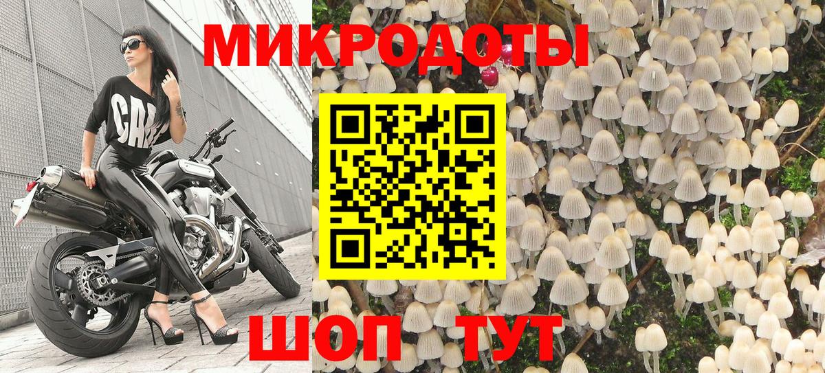 Галлюциногенные грибы прущие грибы Дедовск