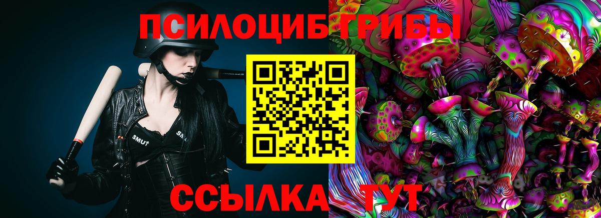 Дедовск  купить   Вход с VPN  Галлюциногенные грибы Psilocybine cubensis 